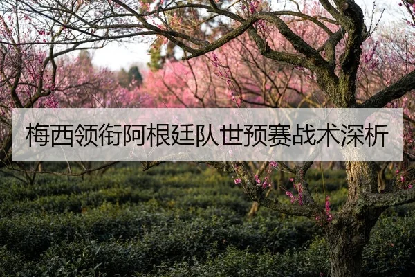梅西领衔阿根廷队世预赛战术深析