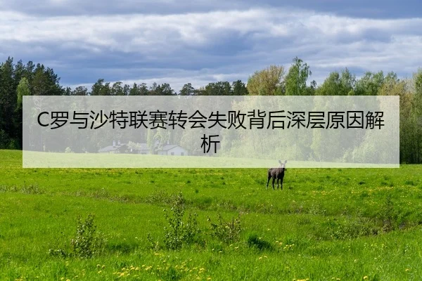 luo-yu-sha-te-lian-sai-zhuan-hui-shi-bai-bei-hou-shen-ceng-yuan-yin-jie-xi-2-824.jpg
