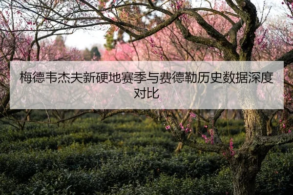 梅德韦杰夫新硬地赛季与费德勒历史数据深度对比